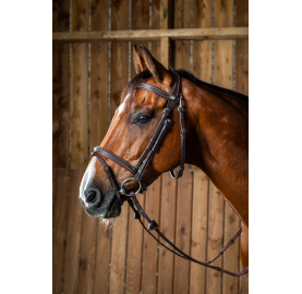 BRIDON MUSEROLLE COMBINEE MOUSQUETONS