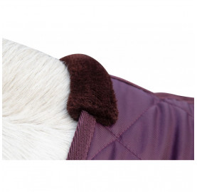 COUVERTURE DE BOX WINTER