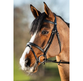 BRIDON ELEGANT