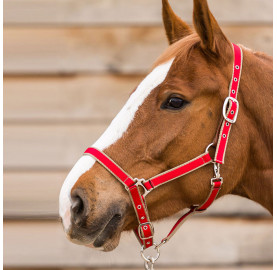 LICOL BASIC BREAK AWAY