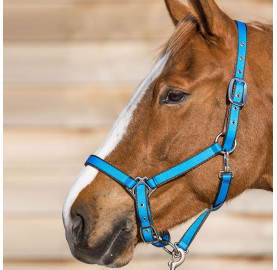 LICOL BASIC BREAK AWAY