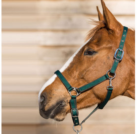 LICOL BASIC BREAK AWAY