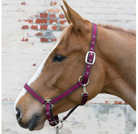 LICOL BASIC BREAK AWAY