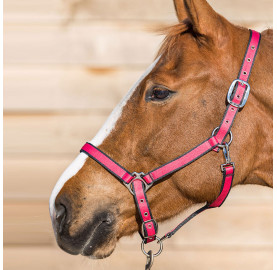 LICOL BASIC BREAK AWAY