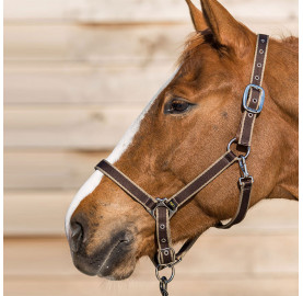 LICOL BASIC BREAK AWAY