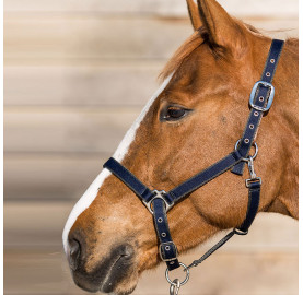 LICOL BASIC BREAK AWAY