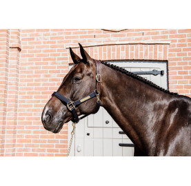 LICOL ANATOMIQUE NYLON