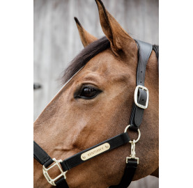 LICOL ANATOMIQUE NYLON