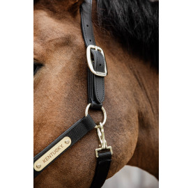 LICOL ANATOMIQUE NYLON