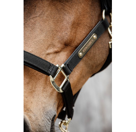 LICOL ANATOMIQUE NYLON