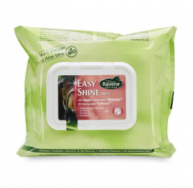 EASY SHINE WIPE 25 LINGETTES