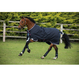 COUVERTURE EXT. 0GAMIGOBRAVO12 ORIGINAL