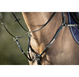COLLIER DE CHASSE