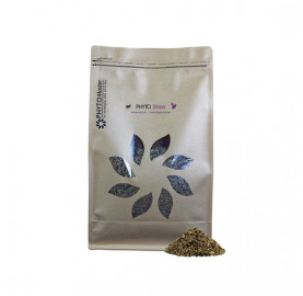 PHYTO STRESS