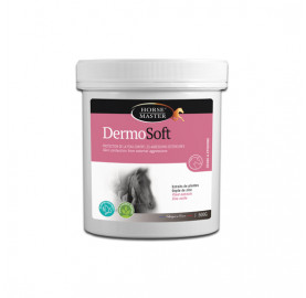 DERMOSOFT S GEL 500 ML