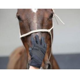 GANTS RACER EVOLUTION