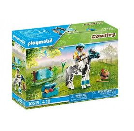 CAVALIER ET PONEY LEWITZER