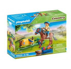 CAVALIER AVEC PONEY BRUN