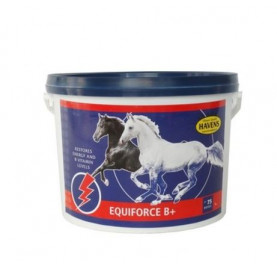 EQUIFORCE B+ - GRANULE 3KG
