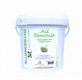 AIL SEMOULE