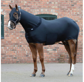 WEATHERBEETA STRETCH RUG