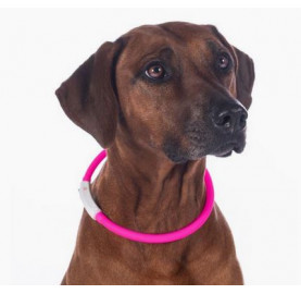 COLLIER LUMINEUX POUR CHIEN...