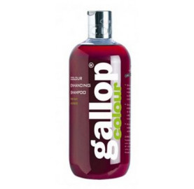 SHAMPOING 500ML - GALLOP COLOR