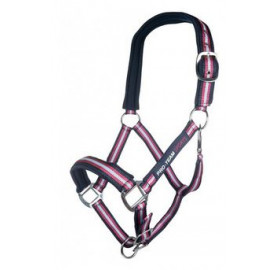 LICOL ACTIVE 19