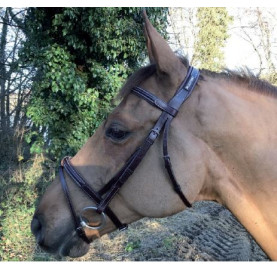 BRIDON NEW CLASSIC