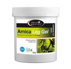 ARNICA LEG GEL