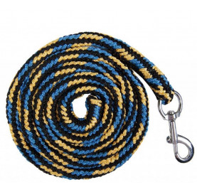 LONGE TRESSEE COLOR