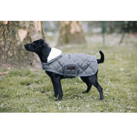 COUVERTURE CHIEN ORIGINAL