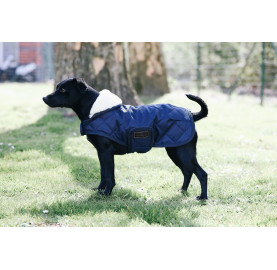 COUVERTURE CHIEN ORIGINAL