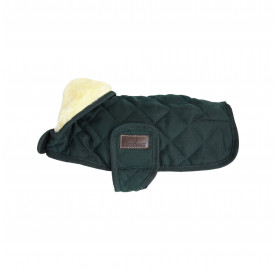 COUVERTURE CHIEN ORIGINAL