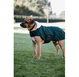 COUVERTURE CHIEN ORIGINAL