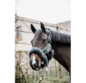 LICOL DE TRANSPORT MOUTON