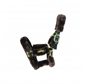 LICOL DE TRANSPORT MOUTON