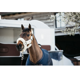 LICOL DE TRANSPORT MOUTON