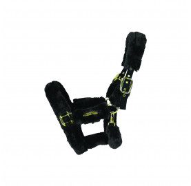 LICOL DE TRANSPORT MOUTON