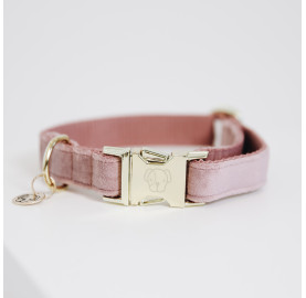 COLLIER POUR CHIEN VELVET