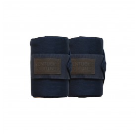 BANDE DE TRAVAIL REPELLENT X 2