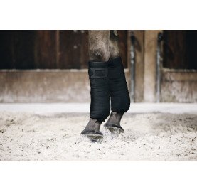 BANDE DE TRAVAIL REPELLENT X 2