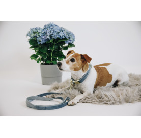 LAISSE POUR CHIEN VELVET