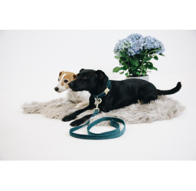 LAISSE POUR CHIEN VELVET