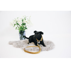 LAISSE POUR CHIEN VELVET