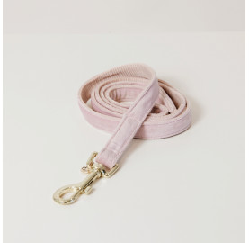 LAISSE POUR CHIEN VELVET