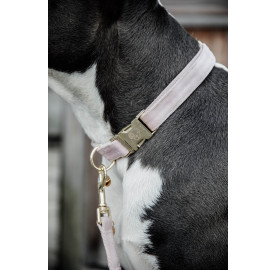 LAISSE POUR CHIEN VELVET