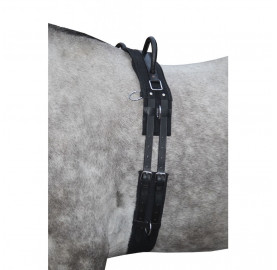 SURFAIX CANVAS AVEC POIGNEE