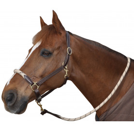 LICOL CORDE CANTER