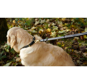 LAISSE POUR CHIEN AJUSTABLE...